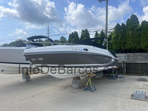 Rinker 246 Captiva Cuddy opinión y ficha técnica